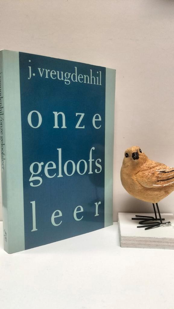 Vreugdenhil, J. ; Onze geloofsleer, Boeken, Godsdienst en Theologie, Gelezen, Christendom | Protestants, Ophalen of Verzenden