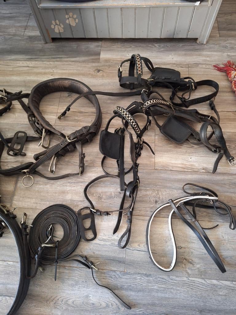 Te koop tuig, Ophalen of Verzenden, Overige soorten