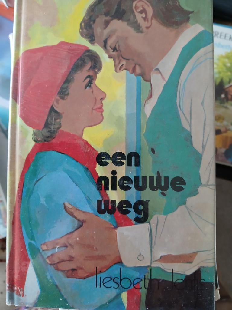 Een nieuwe weg Liesbeth Lems, Boeken, Ophalen, Gelezen, Noord-Brabant