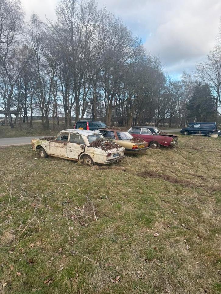 Drie maal een Ford, Auto's, Oldtimers, Particulier, Ophalen