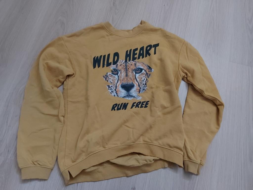 Trui van de H&M. Maat 158/164, Kinderen en Baby's, Kinderkleding | Maat 158, Gebruikt, Meisje, Trui of Vest, H&M