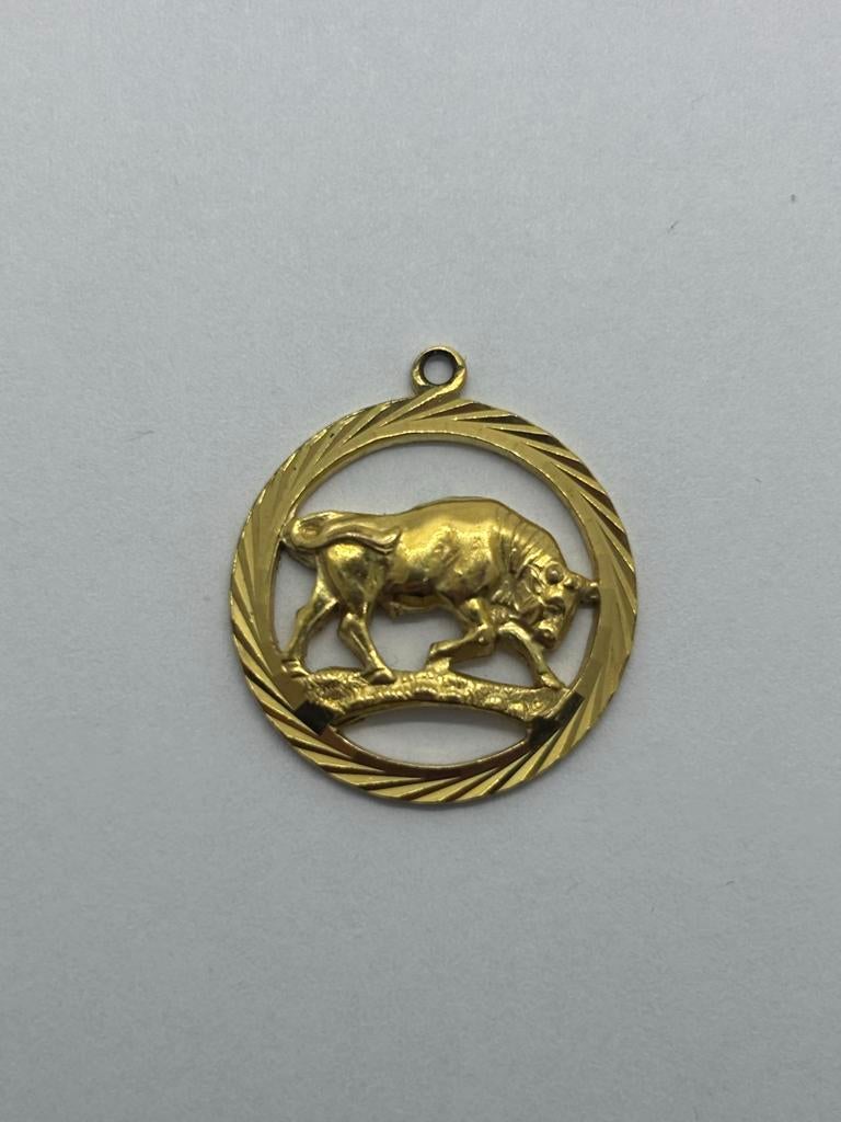 Doublé hanger met een stieren sterrenbeeld, Overige materialen, Nieuw, Ophalen of Verzenden, Goud