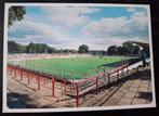 Stadion Ansichtkaart Babelsberg, Ophalen, Zo goed als nieuw, Buitenlandse clubs, Poster, Plaatje of Sticker