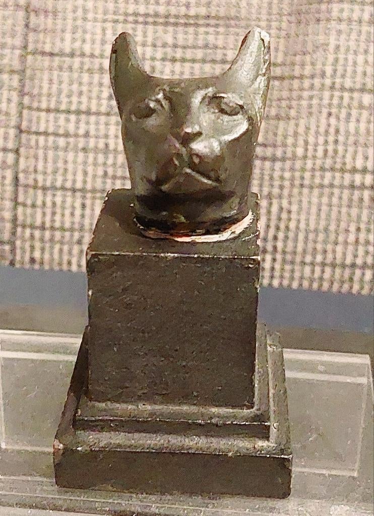 Bronzen Kattekop, Verzenden