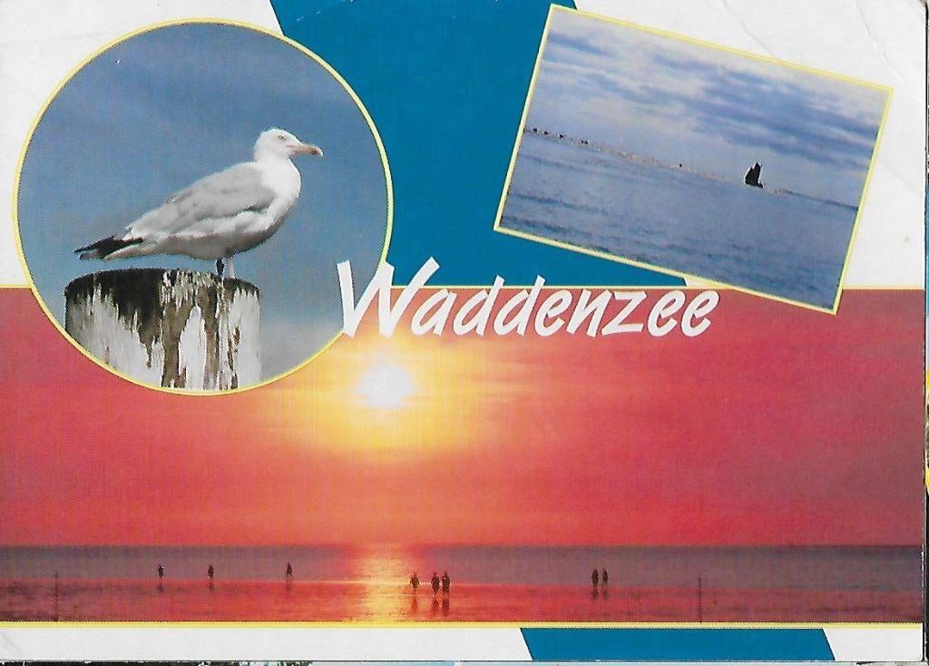 Ame258 gelopen ansichtkaart waddenzee, Ophalen of Verzenden, 1980 tot heden, Gelopen