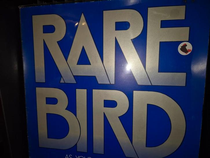 Rare Bird, Cd's en Dvd's, Vinyl | Rock, Zo goed als nieuw, Poprock, 12 inch, Verzenden