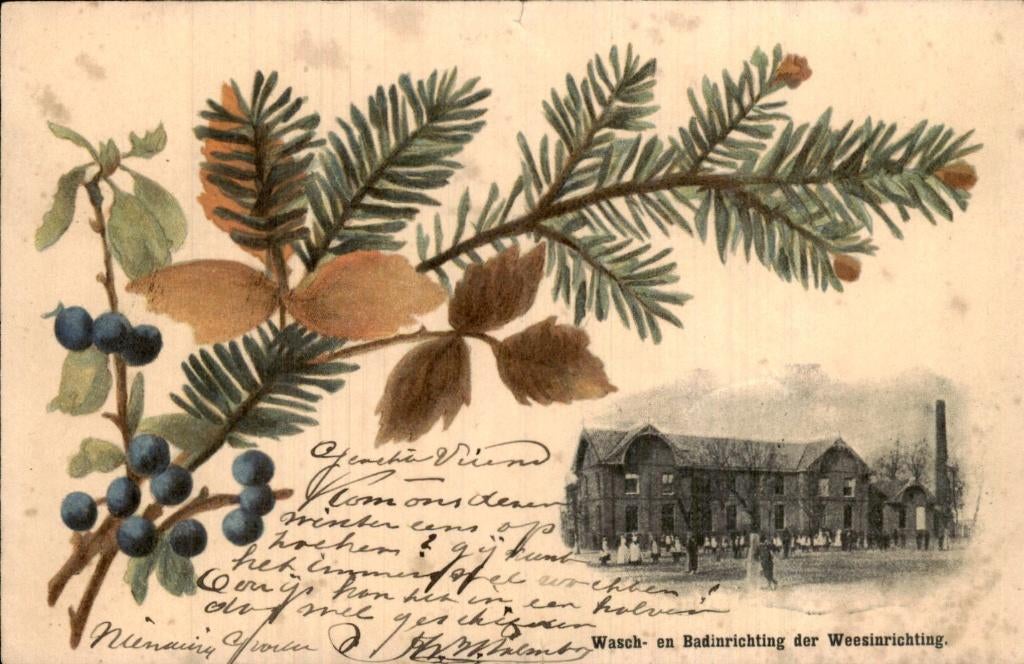 Appelscha - Wasch- en Badinrichting - der Weesinrichting, Ophalen of Verzenden, Voor 1920, Gelopen, Friesland