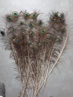 Pauwen veren, Huis en Inrichting, Woonaccessoires | Droogbloemen, Ophalen of Verzenden, Zo goed als nieuw