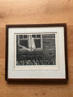 Raam achter heg, Ophalen of Verzenden