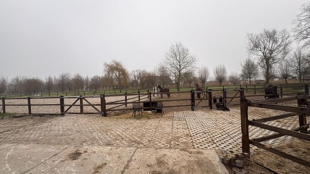 AANGEBODEN training/ zadelmak maken/ doorrijden Alblasserdam, Dieren en Toebehoren