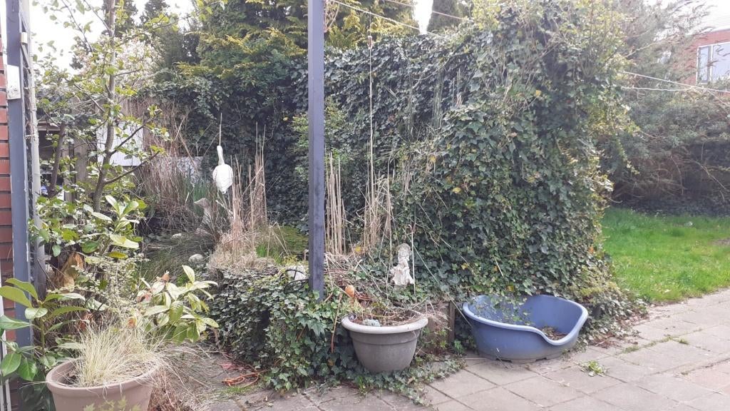 gezocht: Hovenier(s), tuinman(en), Tuinonderhoud of Snoeiwerk