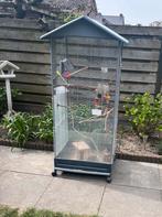 Leuke grote vogelkooi, Dieren en Toebehoren, Ophalen, Gebruikt, Metaal, Vogelkooi