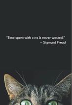 Kattenoppas Nijmegen, Franny the catnanny..