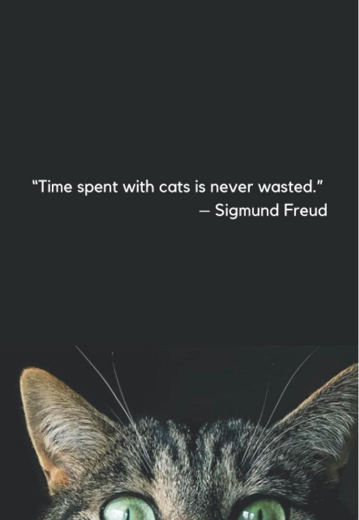 Kattenoppas Nijmegen, Franny the catnanny.., Dieren en Toebehoren, Katten en Kittens | Overige Katten