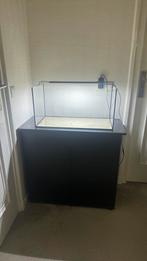 Aquarium 60cm met kast zwart 80cm, Huis en Inrichting, Kasten | Roldeurkasten en Archiefkasten, Ophalen, 50 tot 100 cm, Zo goed als nieuw
