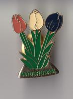 Madurodam Tulpen pin, Verzamelen, Speldjes, Pins en Buttons, Gebruikt, Niet vindbaar, Niet vindbaar, Speldje of Pin