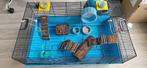 Hamsterhok of caviahok compleet met alle accessoires, Minder dan 60 cm, Gebruikt, Hamster, Minder dan 75 cm
