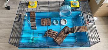 Hamsterhok of caviahok compleet met alle accessoires beschikbaar voor biedingen