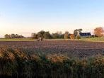 Zoektocht akker, Dieren en Toebehoren, Stalling en Weidegang