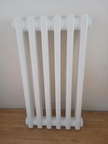 Schattige kleine 2 koloms radiator, nieuw 300x550x63, wit beschikbaar voor biedingen