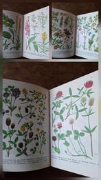Moussault Nieuwe Flora in kleur 1977, botanisch, scrapbook, Ophalen of Verzenden