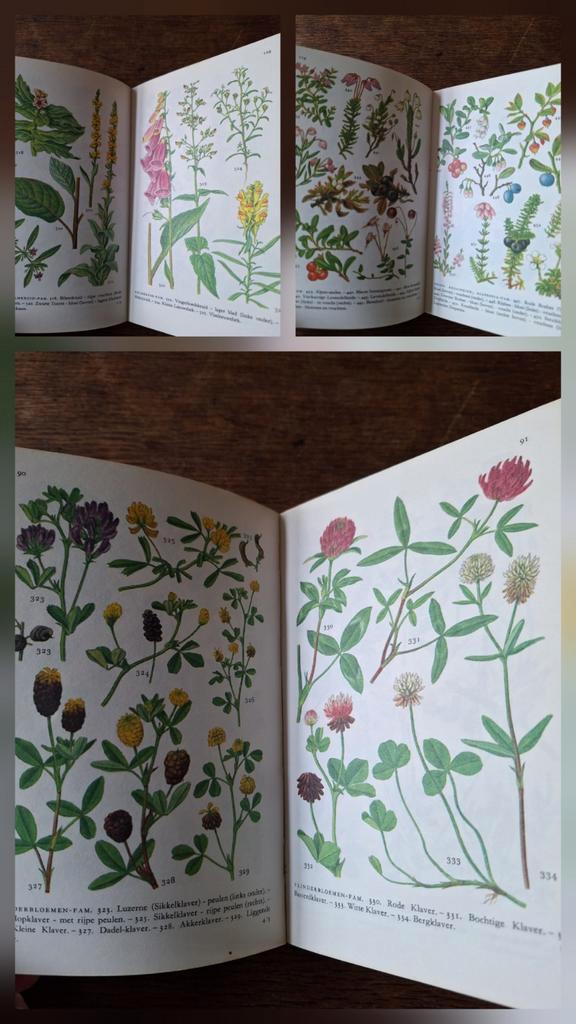 Moussault Nieuwe Flora in kleur 1977, botanisch, scrapbook, Boeken, Natuur, Ophalen of Verzenden