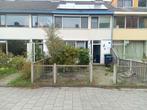 Vlinderstruik & Bruidsbloem - Zelf uitgraven!, Tuin en Terras, Planten | Bomen, Ophalen