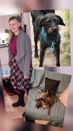 Kamer gezocht in Joure