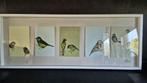 Ikea Olunda schilderij Vogels, ingelijst. 100 x 40 cm. S46, Tweedehands verkoop, Tweedehands verkoop, Minder dan 50 cm, Gebruikt