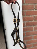 Leren mini shetlander halster, Dieren en Toebehoren, Paarden en Pony's | Hoofdstellen en Tuigage, Ophalen of Verzenden, Zo goed als nieuw