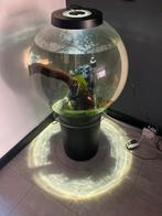 Biorb 105 liter met officiele stander, Dieren en Toebehoren, Ophalen of Verzenden, Gebruikt, Leeg aquarium