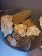 Aquarium stenen, Ophalen, Zo goed als nieuw, Plant(en), Steen of Hout