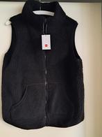bodywarmer dames zwart, Kleding | Dames, Bodywarmers, Maat 38/40 (M), Zwart, Ophalen of Verzenden, Zo goed als nieuw