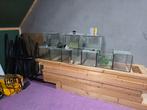 11 aquariums en 2 stellingen, Dieren en Toebehoren, Vissen | Aquaria en Toebehoren, Ophalen, Zo goed als nieuw, Leeg aquarium