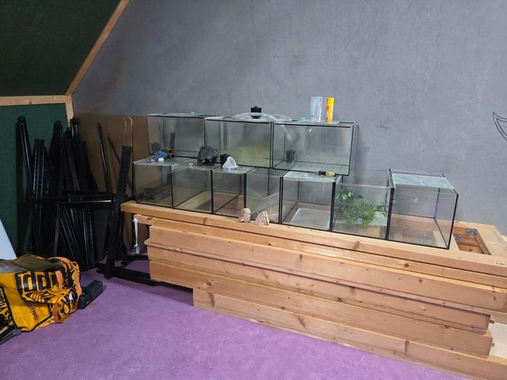 11 aquariums en 2 stellingen, Dieren en Toebehoren, Vissen | Aquaria en Toebehoren, Zo goed als nieuw, Leeg aquarium, Ophalen