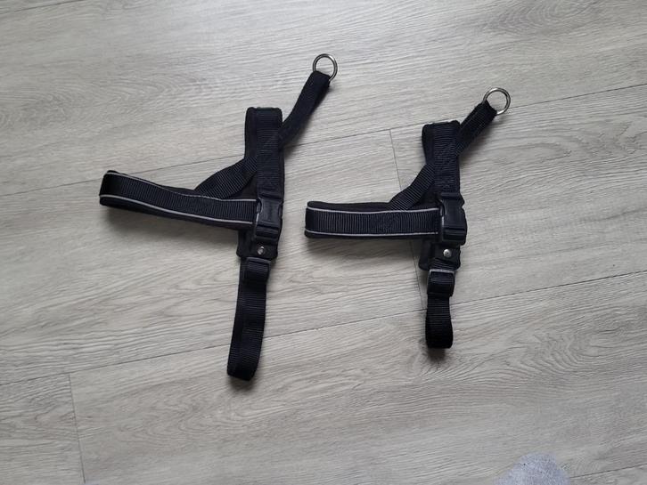Borsttuig, tuigje hond verstelbaar, 2 maten, Dieren en Toebehoren, Honden-accessoires, Gebruikt, Ophalen of Verzenden