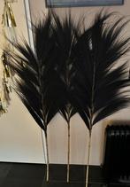 Zwarte Pampas Pluimen - 1,50m, Huis en Inrichting, Ophalen, Zo goed als nieuw