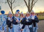 Delftsblauw loopgroep, Kleding | Dames, Carnavalskleding en Feestkleding, Ophalen, Zo goed als nieuw, Carnaval