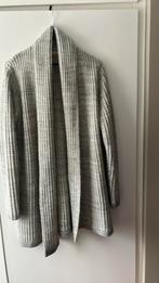 Esqualo. Lichtgrijs openvallend vest. Wolmix. Maat L, Maat 42/44 (L), Esqualo, Ophalen of Verzenden, Zo goed als nieuw