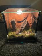 Terrarium | Complete Set, Dieren en Toebehoren, Reptielen en Amfibieën | Toebehoren, Ophalen, Zo goed als nieuw, Terrarium of Paludarium
