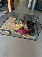 Knaagdier hok (hamster, muizen, rat), Dieren en Toebehoren, Knaagdieren en Konijnen | Hokken en Kooien, Hamster, Zo goed als nieuw