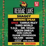 Weekend ticket reggae lake Amsterdam, Tickets en Kaartjes, Eén persoon