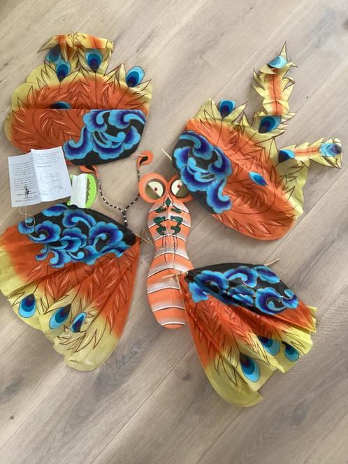 Fraaie Chinese handbeschilderde vlieger in doos, Sport en Fitness, Vliegeren, Nieuw, Vlieger, Tweelijns, Ophalen of Verzenden
