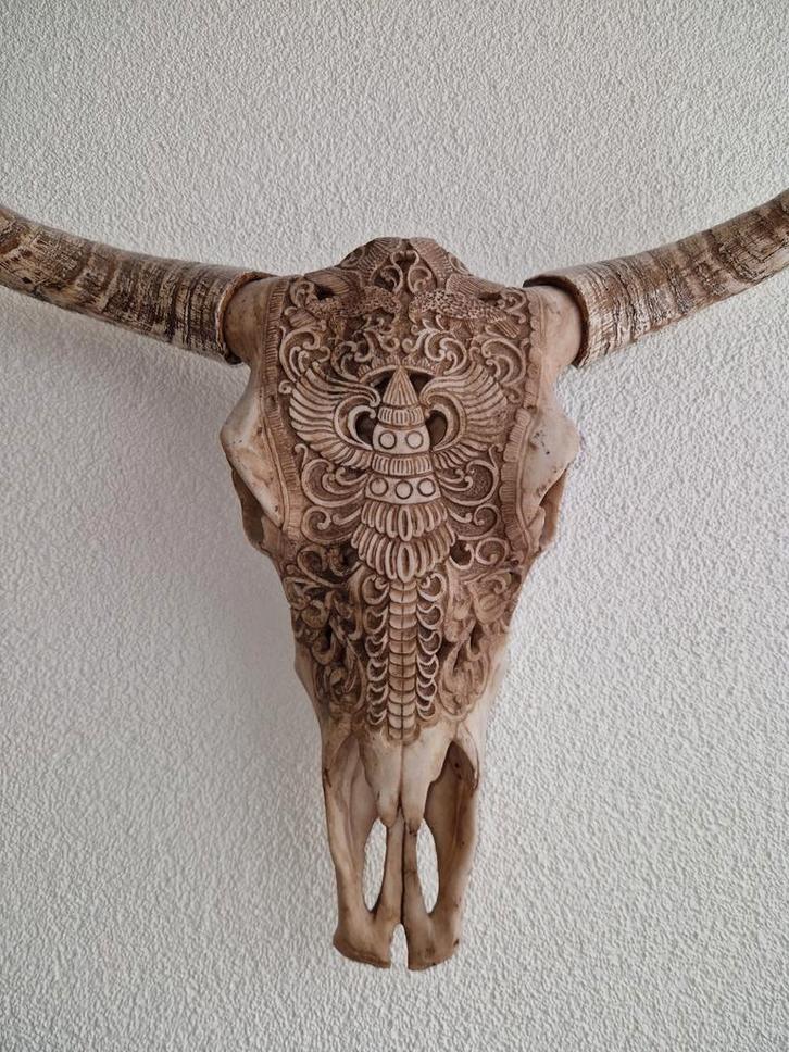 Gegraveerde schedel van een stier, Antiek en Kunst, Kunst | Beelden en Houtsnijwerken, Ophalen