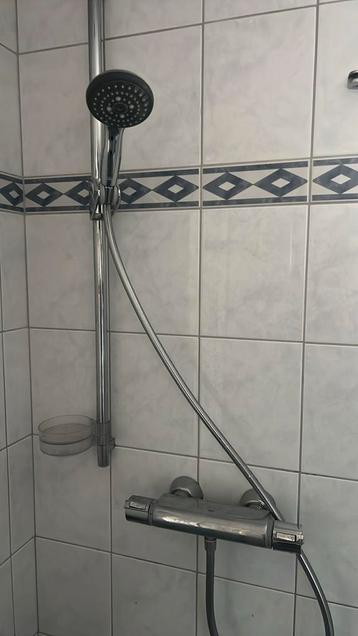 Douchekraan, kop en slang grohe beschikbaar voor biedingen