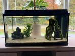 Juwel primolux 80 aquarium,110 L, Dieren en Toebehoren, Ophalen, Zo goed als nieuw, Gevuld zoetwateraquarium