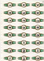 Rumbo  NF  Electro Plate   goud  groen, Verzenden, Zo goed als nieuw, Sigarenbandjes