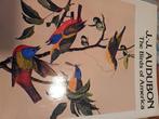 THE BIRDS OF AMERICA, Ophalen of Verzenden, Zo goed als nieuw, Vogels