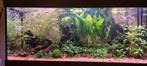 JUWEL Aquarium Rio compleet 450 ltr. 1,5 jaar jong., Dieren en Toebehoren, Vissen | Aquaria en Toebehoren, Ophalen, Zo goed als nieuw