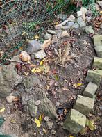 Maaskeien gratis afhalen te Geleen., Tuin en Terras, Grind, Keien en Split, Ophalen of Verzenden, Zo goed als nieuw